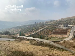  4 قطعة ارض زراعية منطقة ام رمانة قريبة من التنظيم