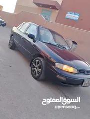  7 احمد محمد علي الوردات