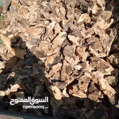  10 حطب زيتون يابس لمطاعم الزرب
