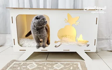  4 luxury cat house ( table type )