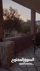  5 شقة للإيجار