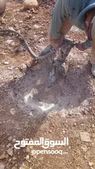  13 تأجير كمبريسات كمبريصات كمبريسر