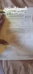  11 هونداي سونوتا 2018