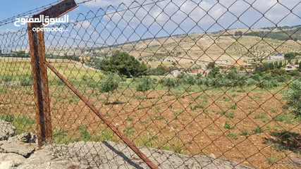  2 ارض للبيع في تل الرمان