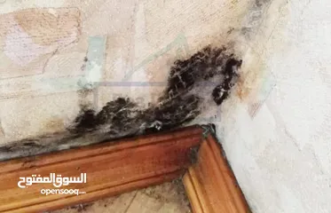  4 جهاز ازالة الرطوبة والعفونه جهاز لوك من شركة KELVIN العالمية