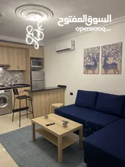  1 One bedroom apartment- VIP