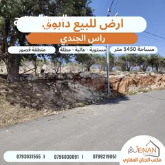  2 ارض مميزة للبيع في ارقى احياء عمان دابوق حوض راس الجندي تبعد 5 دقاءق عن اشارة النسر منطقة فلل وقصور