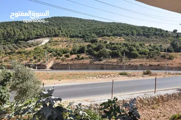  6 بيت مستقل للإيجار