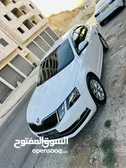  4 اكتافيا ترخيص 2019 دهان شركة كرتونة حمامة بيضاء