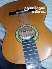  5 Original Salvador Ibanez Guitar
