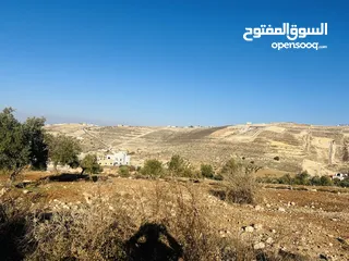  8 ارض للبيع في الكمشه بالقرب من شارع الاردن و مطعم قصر الجبل مميزه جدا