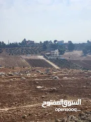  2 مزرعة للبيع جرش ام قنطره