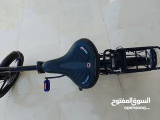  4 بسكليت كهربا