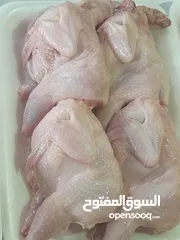  16 بيع السمان او الفري و لحم فري طازج و بيض فري