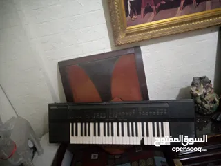  4 اورغ يامها غربي للبيع