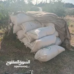  1 تبن احمر بيقيا