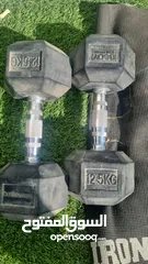  1 Weight lifts 12.5 KG pair for sale