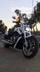  8 Harley Davidson  V-ROD 2013