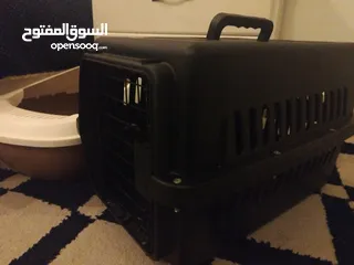  5 مستلزمات قطط مستعمل شهر فقط بعض الاشياء غير مستعمله مثل المشط والسبراي وبوكس النقل استعمال واحد فقط