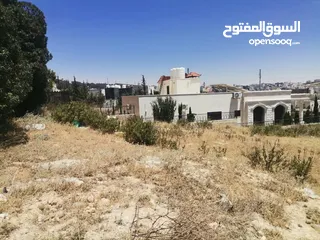  4 قطعة ارض تصلح للفلل والاسكانات ( موقع مميز / سعر مغري )
