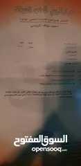  4 شفر كروز للبيع