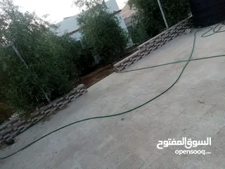  8 بيت مستقل طابقين