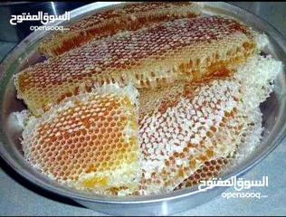  1 عسل بالجملة مفحوص ومضمون 100 % بأنواعه المختلفة ( بلدي،باكستاني،مصري ) قطفة جديد