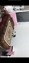  1 غرفة نوم بناتي