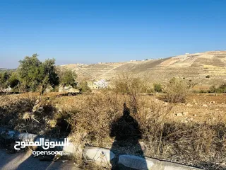  12 ارض للبيع في الكمشه بالقرب من شارع الاردن و مطعم قصر الجبل مميزه جدا