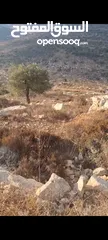  1 ارض للببع صالحه للبيناء مدرسه او اي مشروع مساحه 4دونم في منطقه الغدير سردا  ابو قش