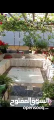  10 بيت ومنازل للبيع