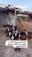  2 اذكر الله بكار للبيع