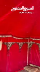  2 خيمة 4+4استمال يوم ممتازه 3طبقات