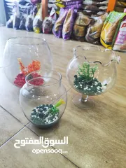  2 باولات سمك ، للمكاتب ، غرف النوم ، الصالون استقبال الضيوف ، رونق خاص للجمال و الاناقة