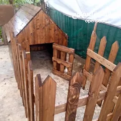 9 بيوت كلاب خشب