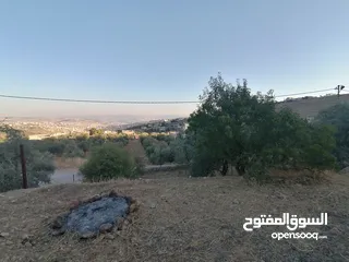 27 بيت ريفي للبيع في جرش - ثغرة عصفور