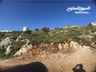  1 ارض للبيع في نابلس الجديدة