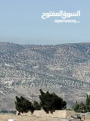  12 ارض للبيع جرش عنيبه قطعه مميزه جدا
