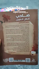  2 مذكرات جودي ابوت (صاحب الظل الطويل)