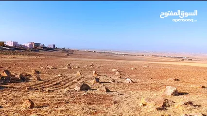  3 ارض استثمارية مميزة/ مزرعة تميرة للبيع بسعر مناسب جدا من المالك مباشرة/تم بيع قطعتين و باقي قطعتين