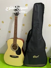  1 Guitar brand