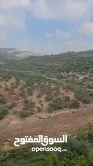  5 أرض للبيع من المالك مباشرة
