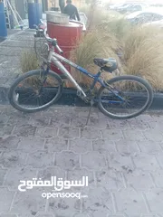  1 قاري مقاس 26 بحالة جيده