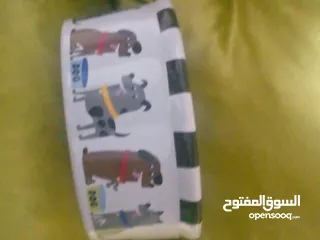  1 صحن ماء وطعام