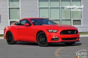  3 Wanted mustang GT