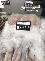  23 ‏للبيع سمك