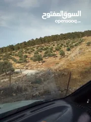  6 ارض مميزه لليع