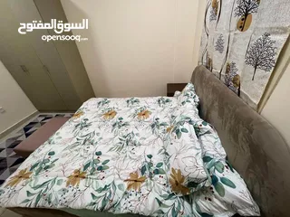  11 للايجار بعجمان شقه مفروشه غرفه وصاله الروضه شارع الشيخ عمار