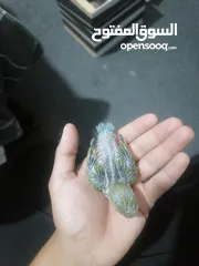  10 فراخ روز لزق اليدوي