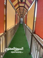  19 عشب صناعي اجود الانواع فتنامي امراتي اوربي سعودي ومصري واردني كفاله ما بعد البيع